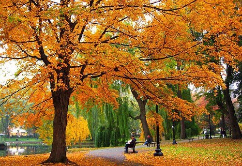 大自然を彩る秋